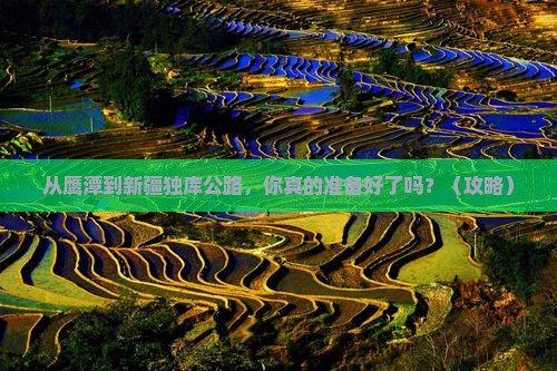 鹰潭到新疆独库公路旅行社