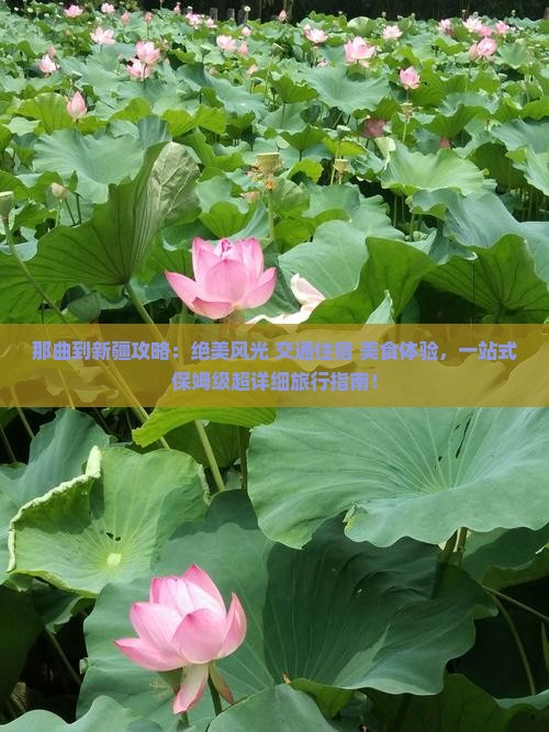 那曲到新疆攻略