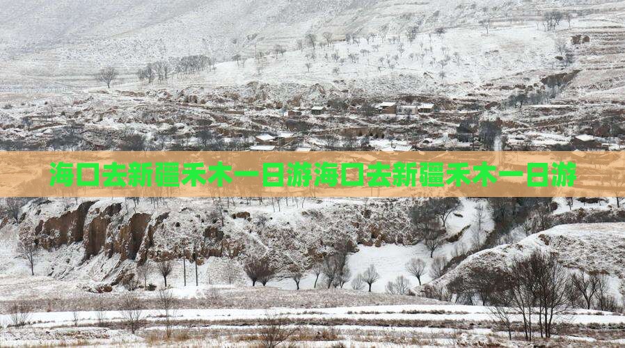 海口去新疆禾木一日