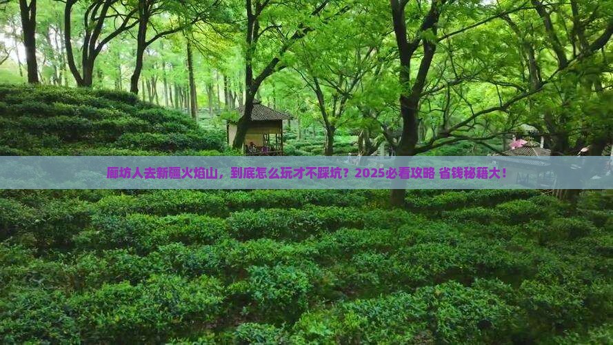 廊坊去新疆火焰山哪里玩