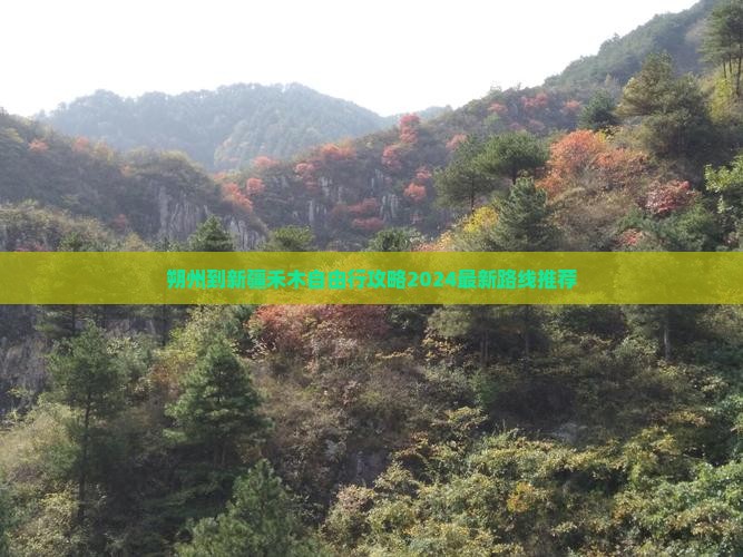 朔州到新疆禾木自由行