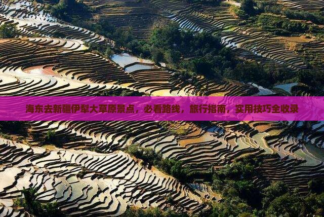 海东去新疆伊犁大草原景点