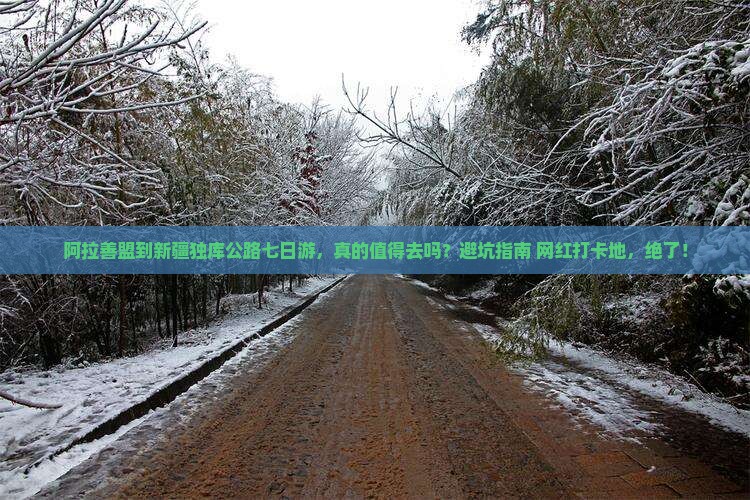 阿拉善盟到新疆独库公路七日游