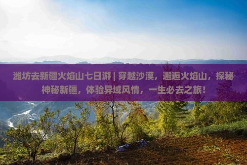 潍坊去新疆火焰山七日游