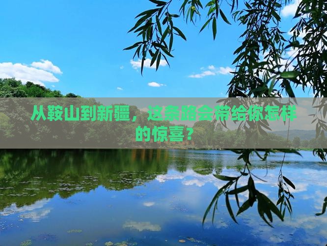 鞍山去新疆攻略