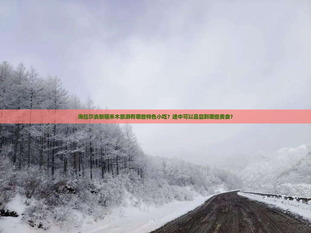 海拉尔去新疆禾木旅游小吃