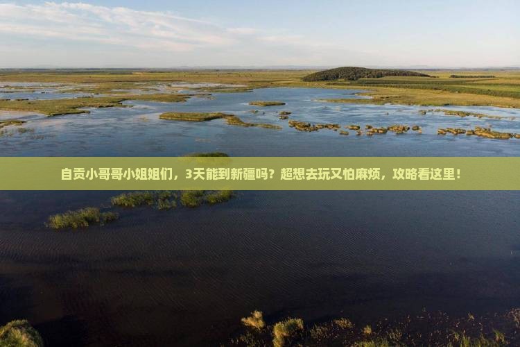 自贡去新疆攻略