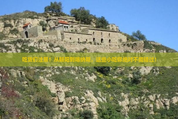 朝阳到新疆喀纳斯旅游小吃