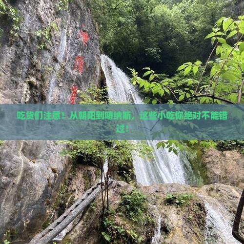朝阳到新疆喀纳斯旅游小吃
