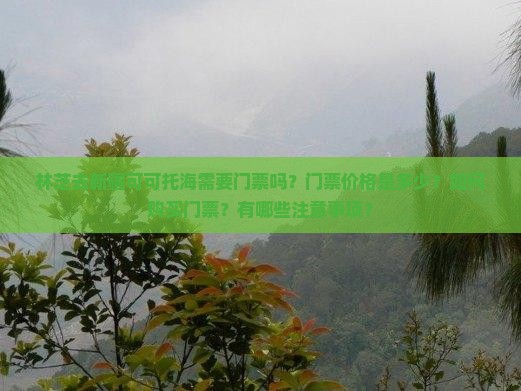 林芝去新疆可可托海门票