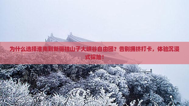 淮南到新疆独山子大峡谷自由团