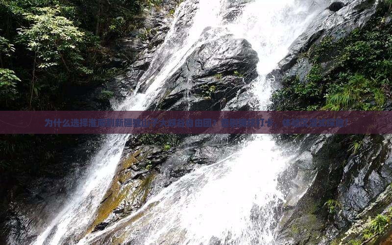 淮南到新疆独山子大峡谷自由团