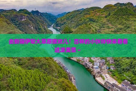吉林去新疆伊犁大草原旅游