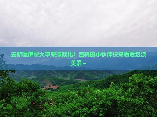 吉林去新疆伊犁大草原旅游