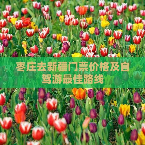 枣庄去新疆门票