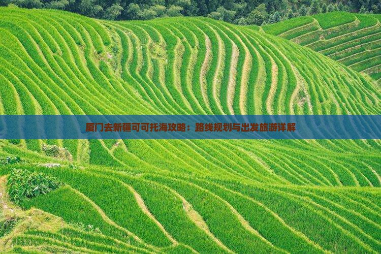 厦门去新疆可可托海一日