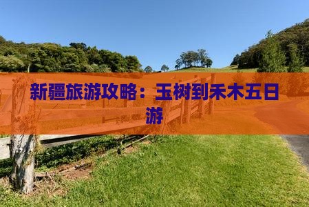 玉树到新疆禾木五日游
