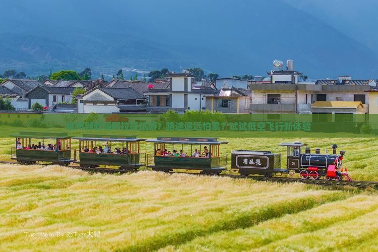 泉州到新疆那拉提旅游