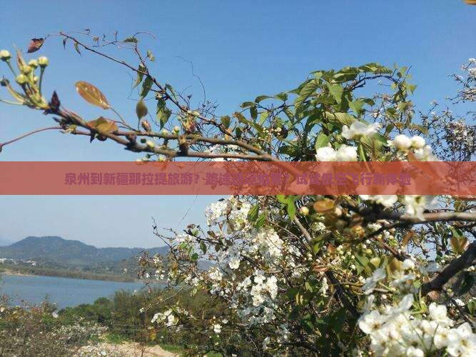 泉州到新疆那拉提旅游