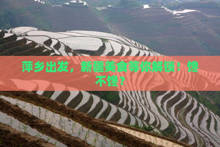 萍乡到新疆旅游小吃