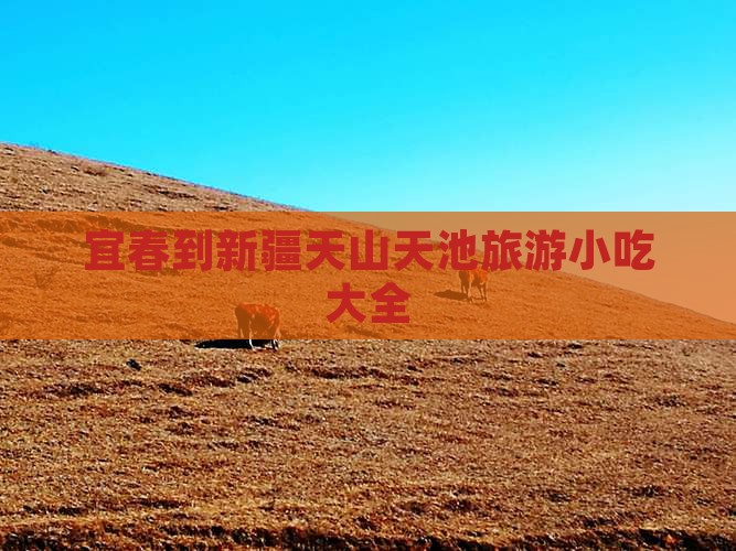 宜春到新疆天山天池旅游小吃