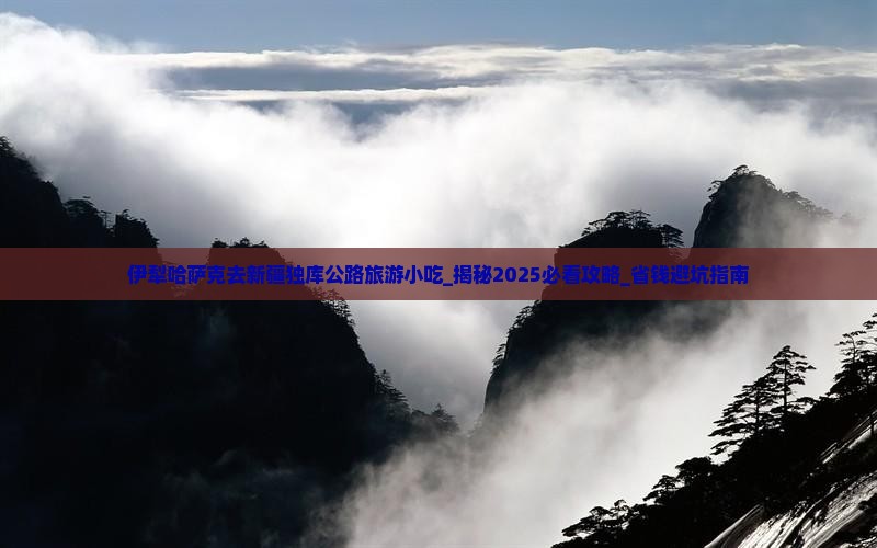 伊犁哈萨克去新疆独库公路旅游小吃