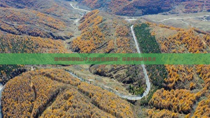 随州到新疆独山子大峡谷旅游