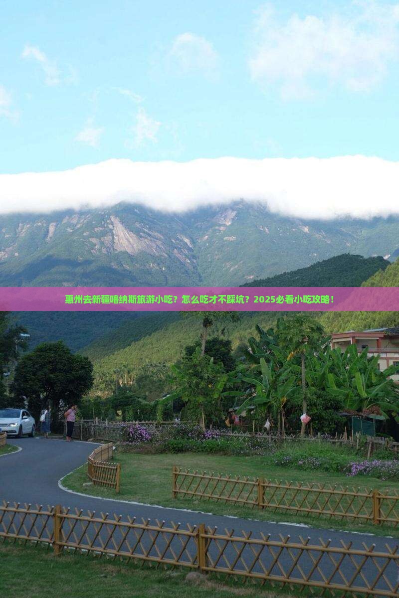惠州去新疆喀纳斯旅游小吃