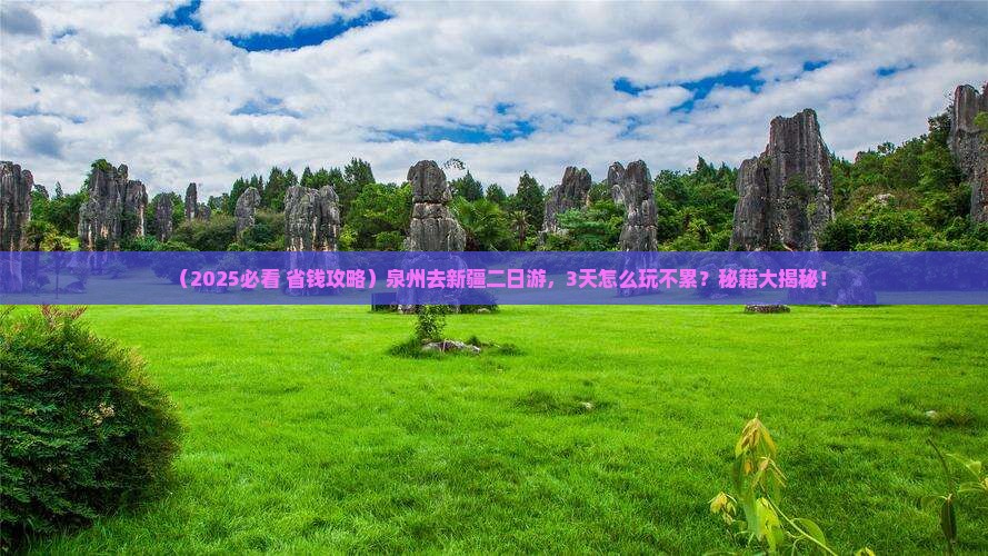 泉州去新疆二日游