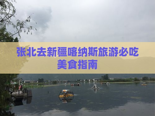 张北去新疆喀纳斯旅游小吃
