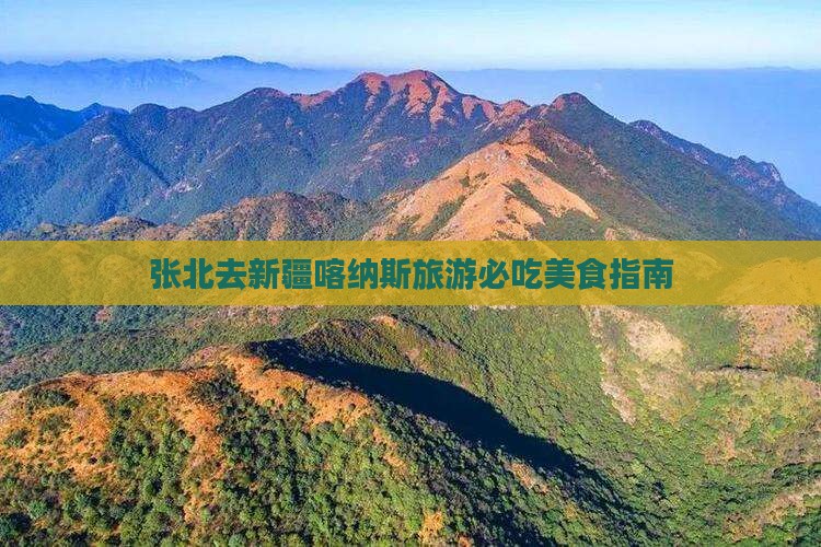 张北去新疆喀纳斯旅游小吃