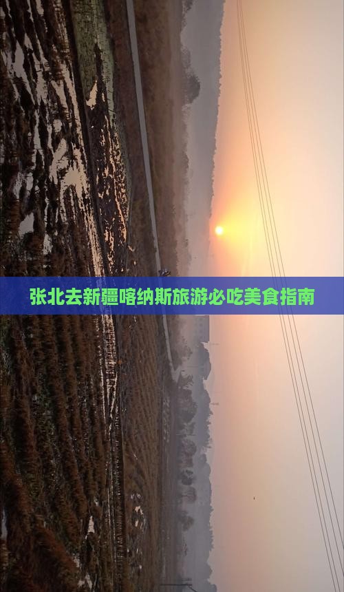 张北去新疆喀纳斯旅游小吃