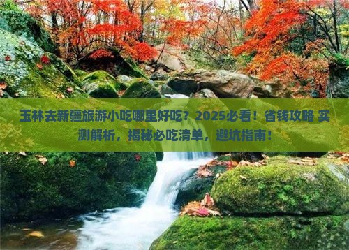 玉林去新疆旅游小吃