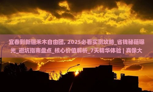 宜春到新疆禾木自由团