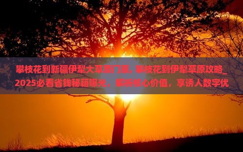 攀枝花到新疆伊犁大草原门票 攀枝花到新疆伊犁大草原门票