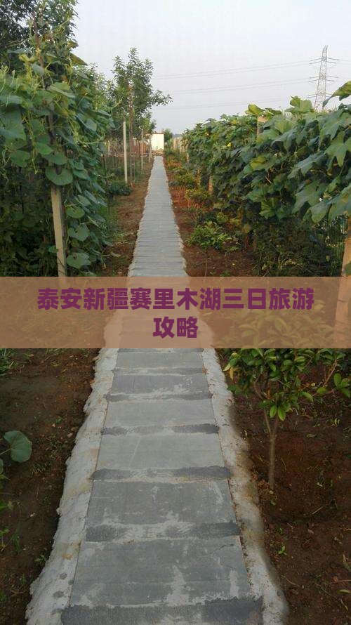 泰安到新疆赛里木湖三日游