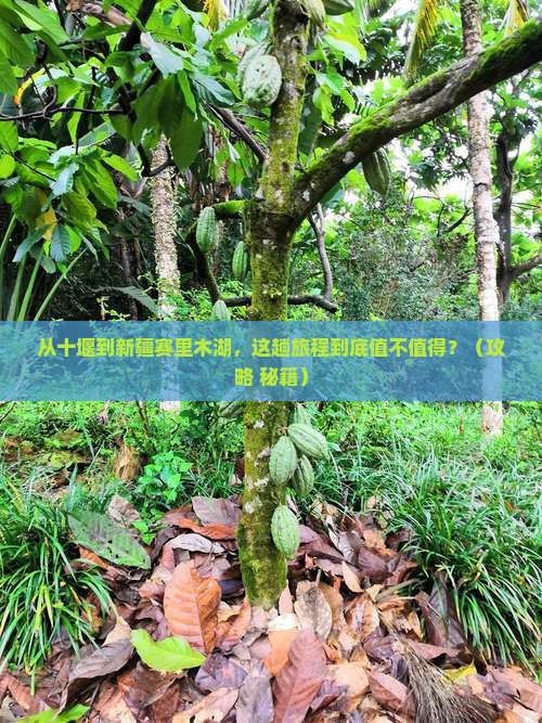 十堰到新疆赛里木湖景点