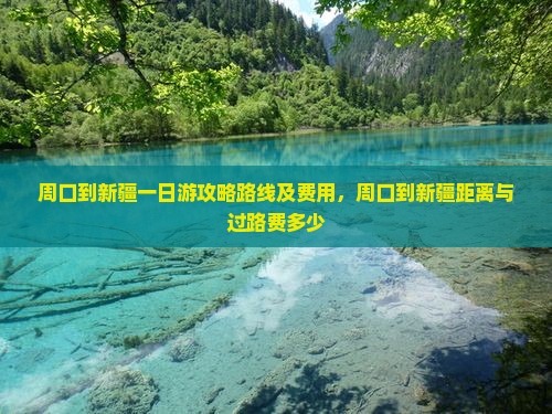 周口到新疆一日