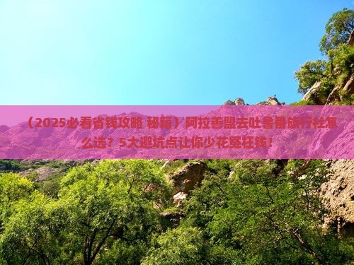 阿拉善盟去新疆吐鲁番旅行社