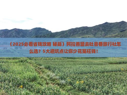 阿拉善盟去新疆吐鲁番旅行社