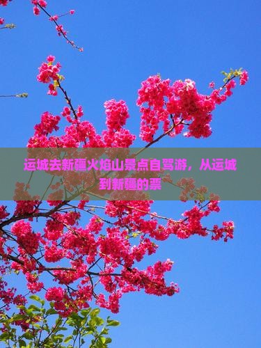 运城去新疆火焰山景点
