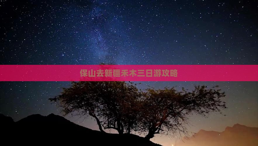 保山去新疆禾木三日游