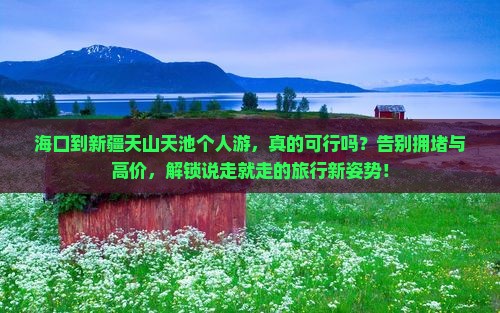 海口到新疆天山天池个人游
