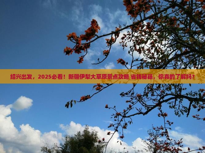 绍兴到新疆伊犁大草原景点