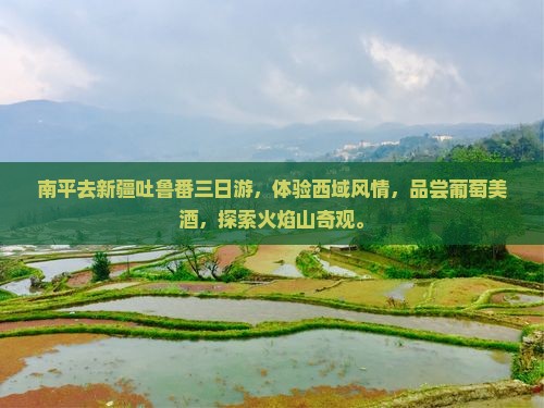 南平去新疆吐鲁番三日游