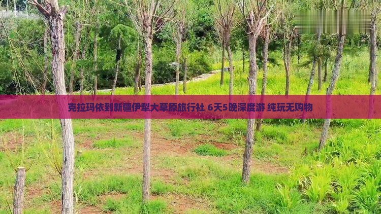 克拉玛依到新疆伊犁大草原旅行社