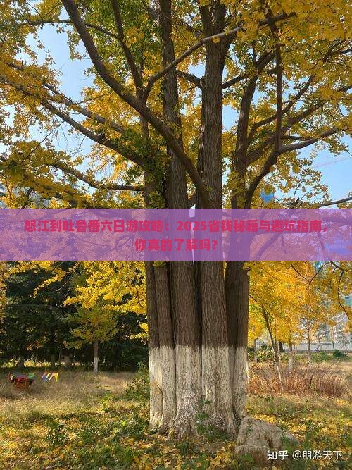 怒江到新疆吐鲁番六日游