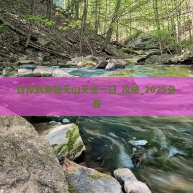 蚌埠到新疆天山天池一日