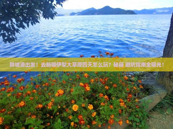 防城港去新疆伊犁大草原四日游