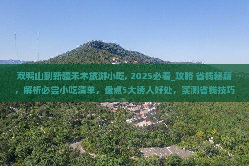 双鸭山到新疆禾木旅游小吃